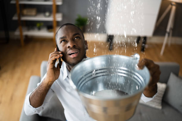 Best Water damage cleanup near me  in Nags Head, NC