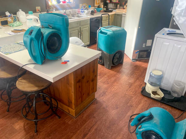 Water damage restoration mold remediation in Nags Head, NC