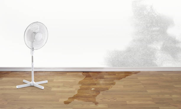 Best 24/7 water damage repair  in Nags Head, NC