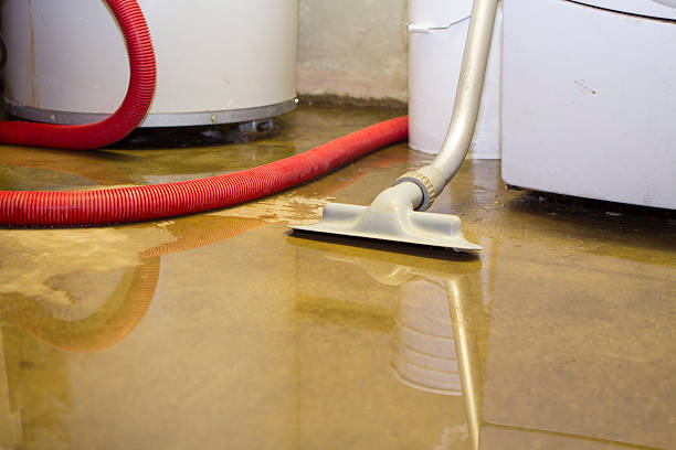 Reliable Nags Head, NC Water damage restoration Solutions