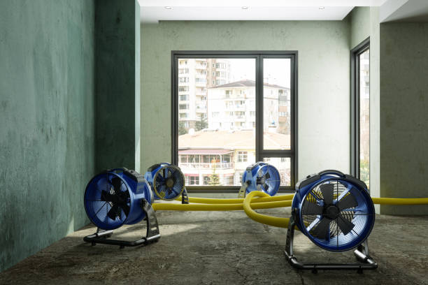 Best Water damage cleanup near me  in Nags Head, NC