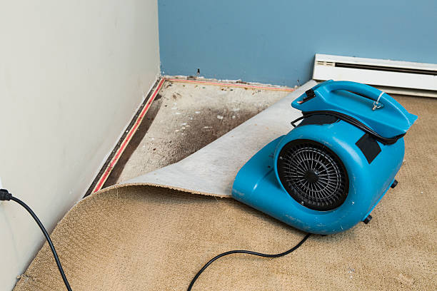 Best Sewage cleanup and water damage restoration  in Nags Head, NC